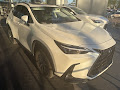 2023 Lexus NX 350h Premium