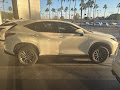 2023 Lexus NX 350h Premium