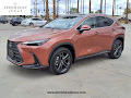 2025 Lexus NX 450h+ Luxury