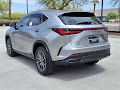 2025 Lexus NX 350h Base