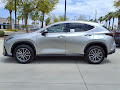 2025 Lexus NX 350h Base