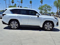 2024 Lexus LX 600 Luxury