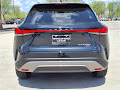 2025 Lexus RX 450h+ Luxury
