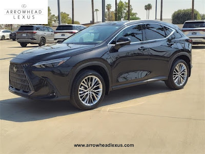 2025 Lexus NX