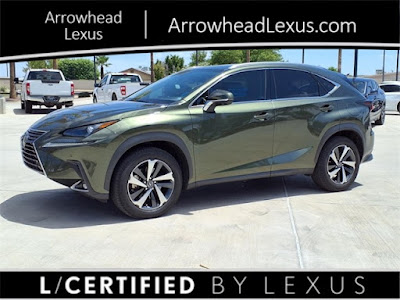 2021 Lexus NX
