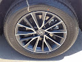 2025 Lexus NX 250 Base