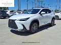 2025 Lexus NX 250 Premium