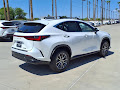 2025 Lexus NX 250 Premium