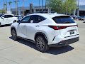 2025 Lexus NX 250 Premium