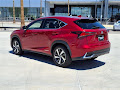 2020 Lexus NX 300h