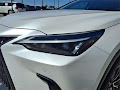 2024 Lexus NX 350h Premium