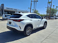 2024 Lexus NX 350h Premium