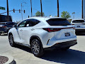 2025 Lexus NX 250 Premium