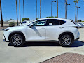 2025 Lexus NX 250 Premium