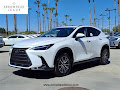 2025 Lexus NX 250 Premium