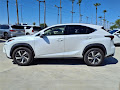 2021 Lexus NX 300h