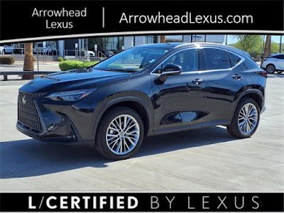 2024 Lexus NX