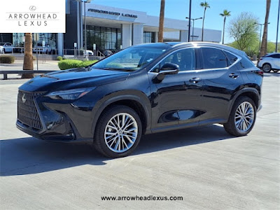 2024 Lexus NX