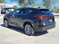 2024 Lexus NX 350h Luxury