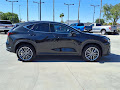 2024 Lexus NX 350h Luxury