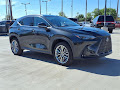2024 Lexus NX 350h Luxury