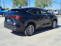 2024 Lexus NX 350h Luxury