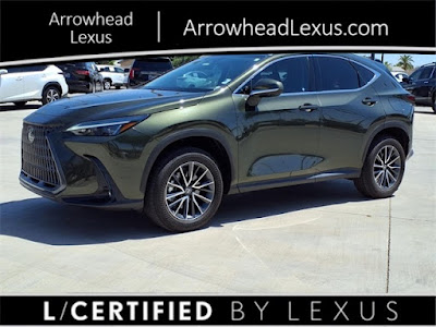 2025 Lexus NX
