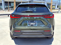 2025 Lexus NX 350h Premium
