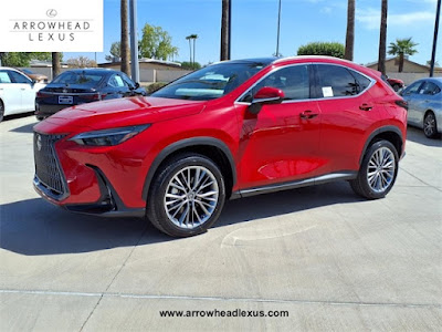 2025 Lexus NX