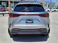 2025 Lexus NX 350h Premium
