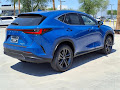 2025 Lexus NX 450h+ Luxury