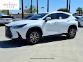 2026 Lexus NX