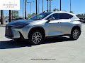 2025 Lexus NX 250 Base