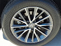 2025 Lexus NX 250 Base
