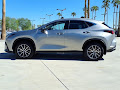2025 Lexus NX 250 Base