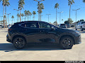 2026 Lexus NX 450h+ Luxury