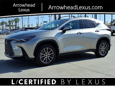 2025 Lexus NX