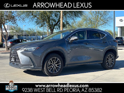 2022 Lexus NX