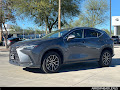 2022 Lexus NX 250 Base