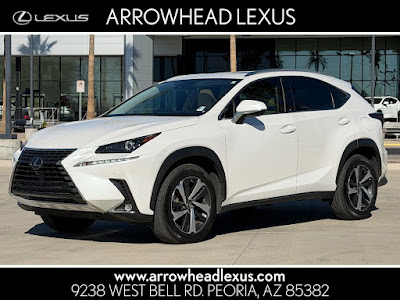 2020 Lexus NX
