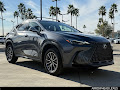 2025 Lexus NX 250 Premium