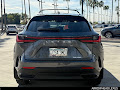 2025 Lexus NX 250 Premium