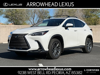 2025 Lexus NX