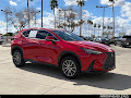 2024 Lexus NX 250 Base