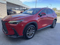 2024 Lexus NX 250 Base