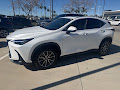 2025 Lexus NX 250 Base