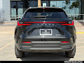 2023 Lexus NX 250 Base