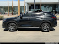 2023 Lexus NX 250 Base