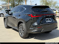 2023 Lexus NX 250 Base