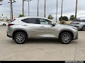2026 Lexus NX 450h+ Luxury